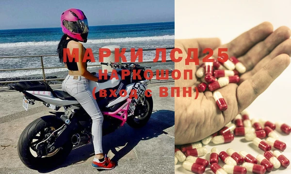 шишки Белокуриха