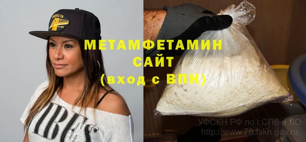 шишки Белокуриха