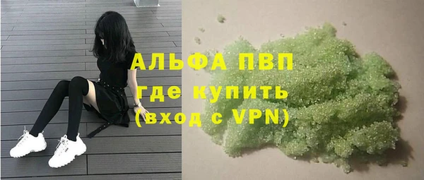 шишки Белокуриха