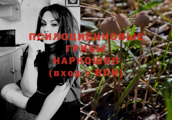 эйфоретик Белоозёрский