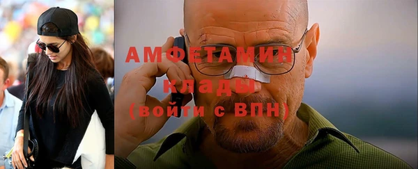 шишки Белокуриха