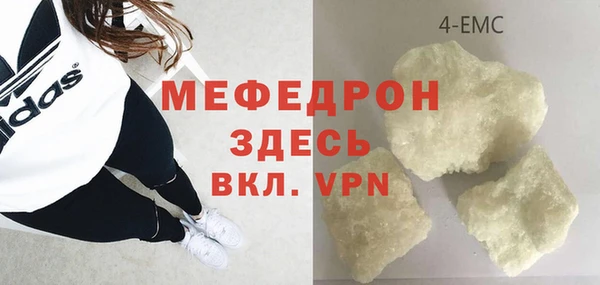 шишки Белокуриха