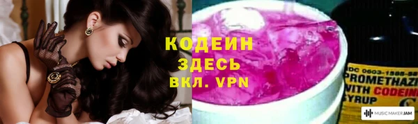 шишки Белокуриха