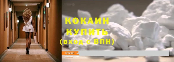 шишки Белокуриха