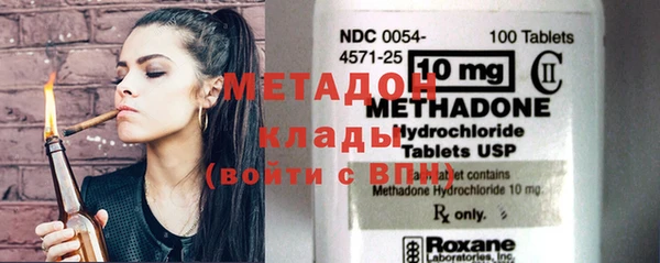 шишки Белокуриха
