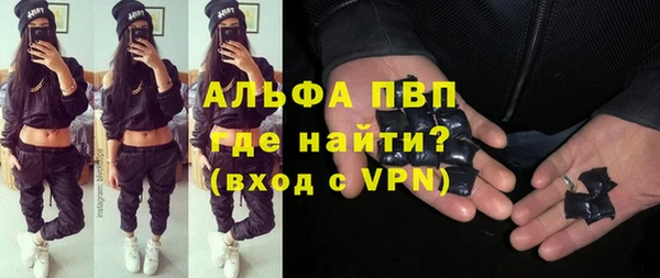 шишки Белокуриха