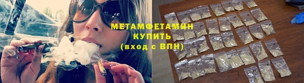 шишки Белокуриха