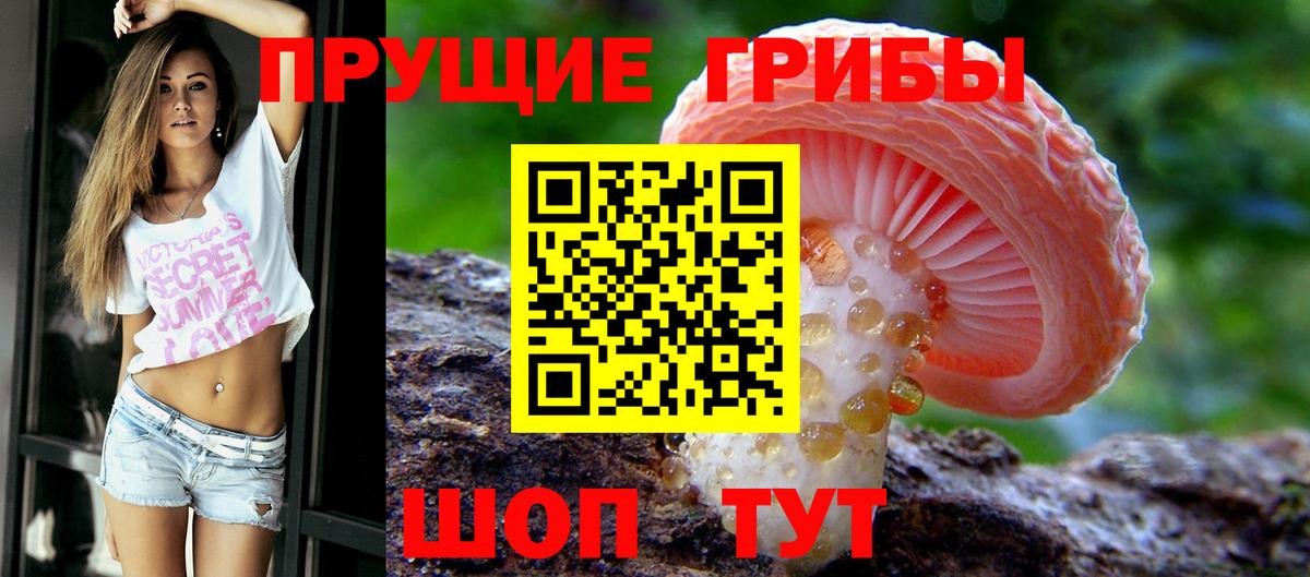 Псилоцибиновые грибы ЛСД  Псилоцибиновые грибы MAGIC MUSHROOMS  Вход с VPN  сколько стоит  Бутурлиновка 