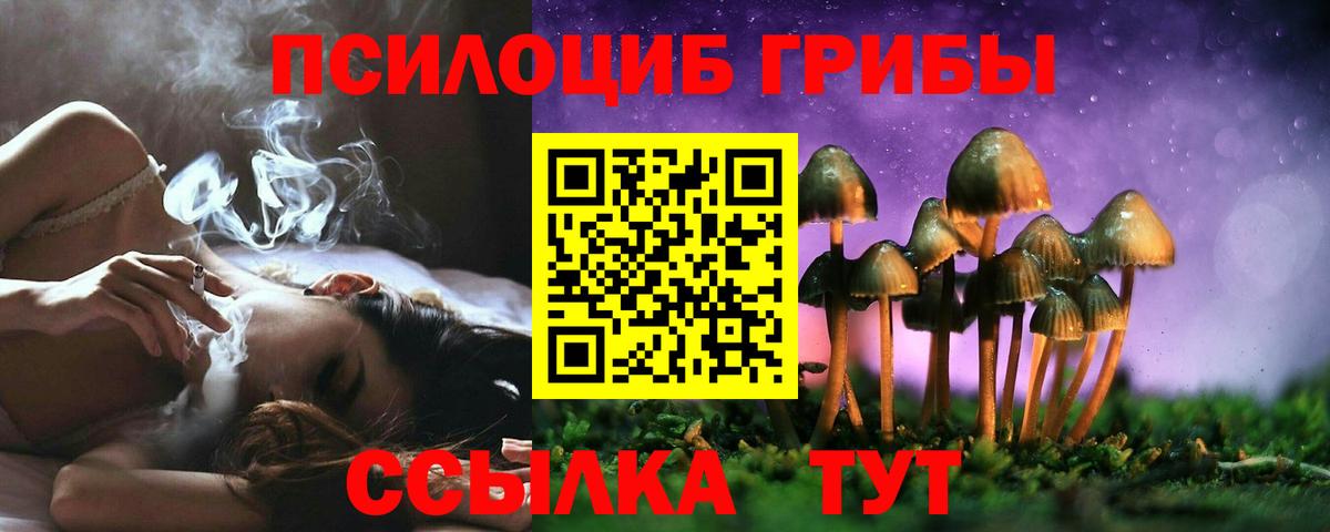 Галлюциногенные грибы Psilocybine cubensis Бутурлиновка